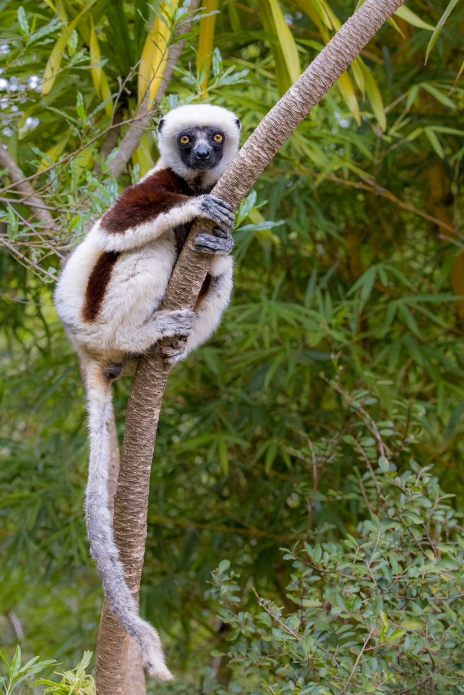 madagascar2022