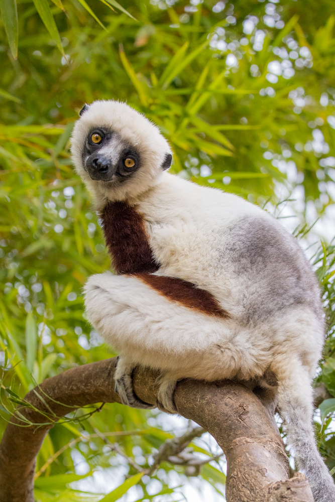 madagascar2022