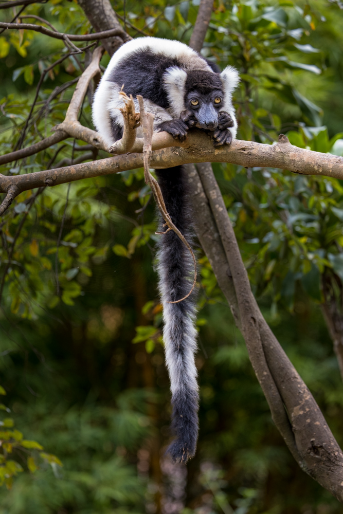 madagascar2022