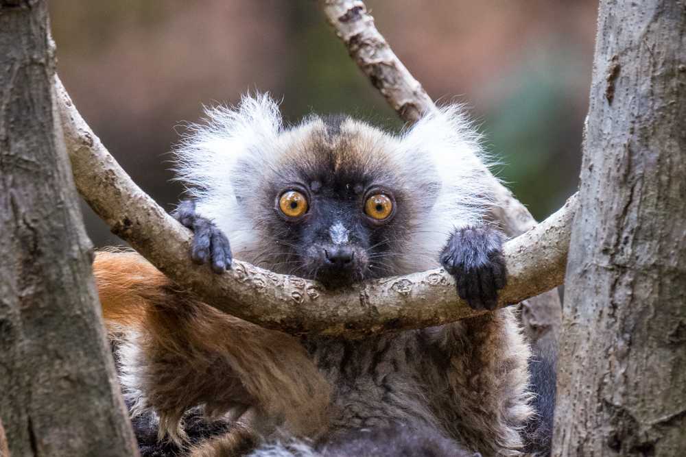 madagascar2022