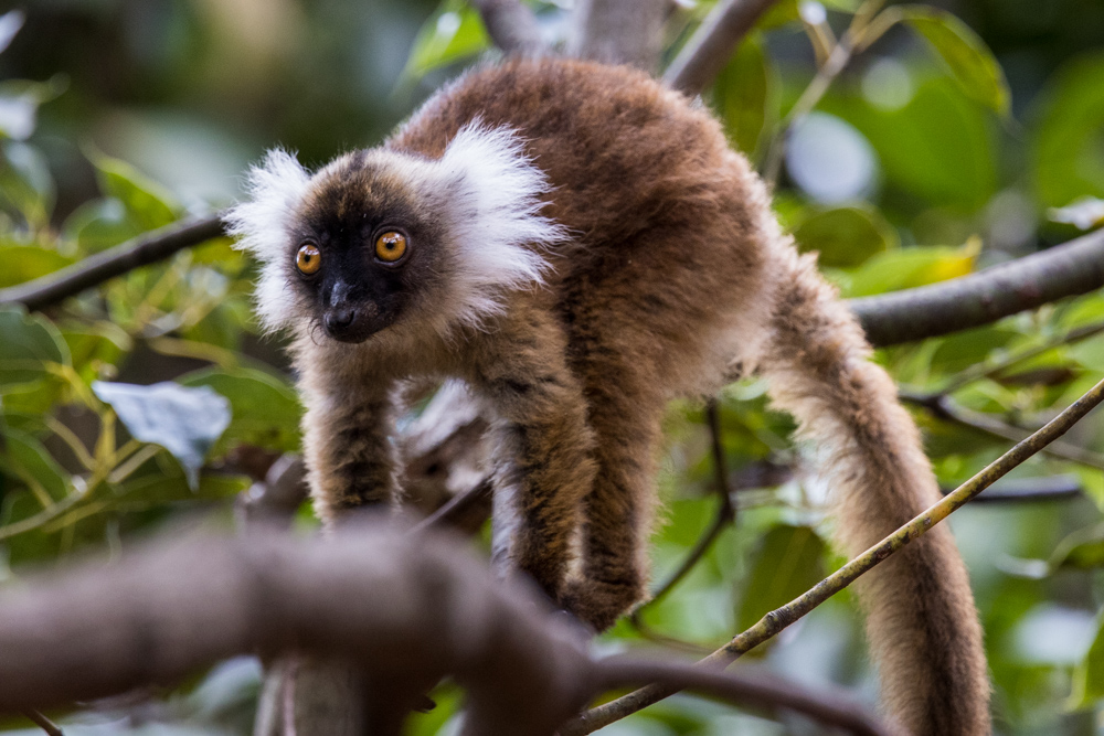 madagascar2022
