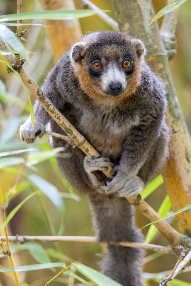 madagascar2022