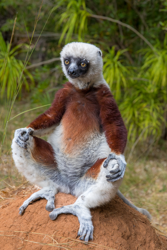madagascar2022