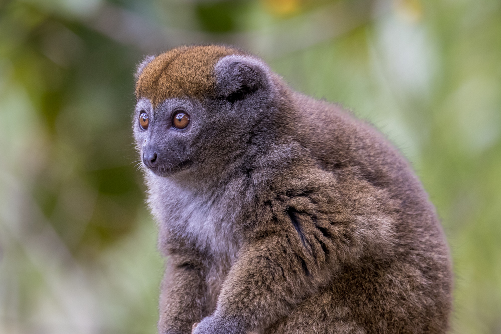 madagascar2022