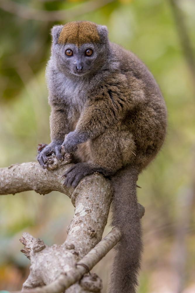madagascar2022