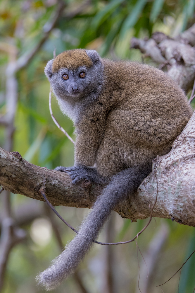 madagascar2022