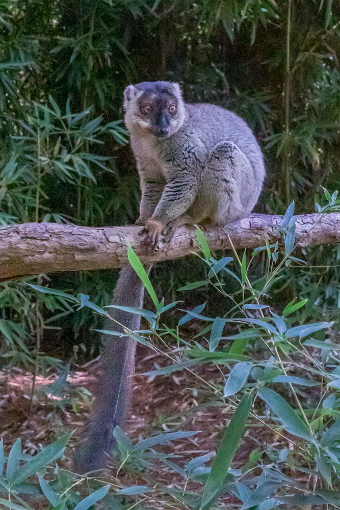 madagascar2022