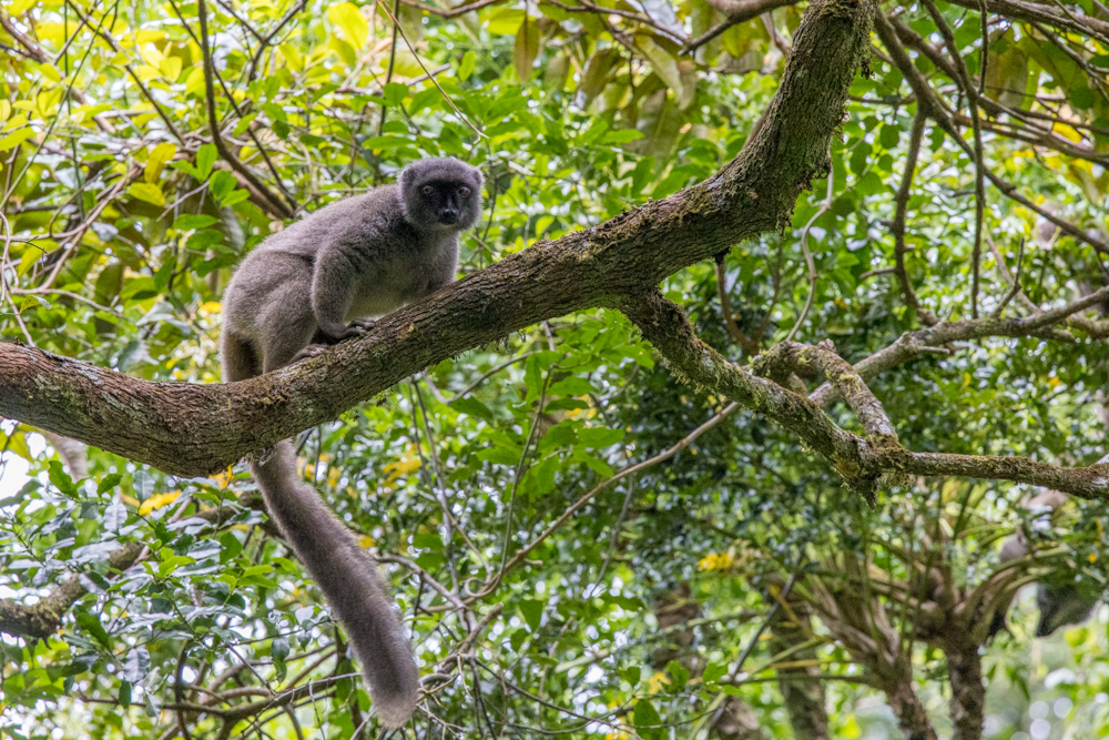 madagascar2022