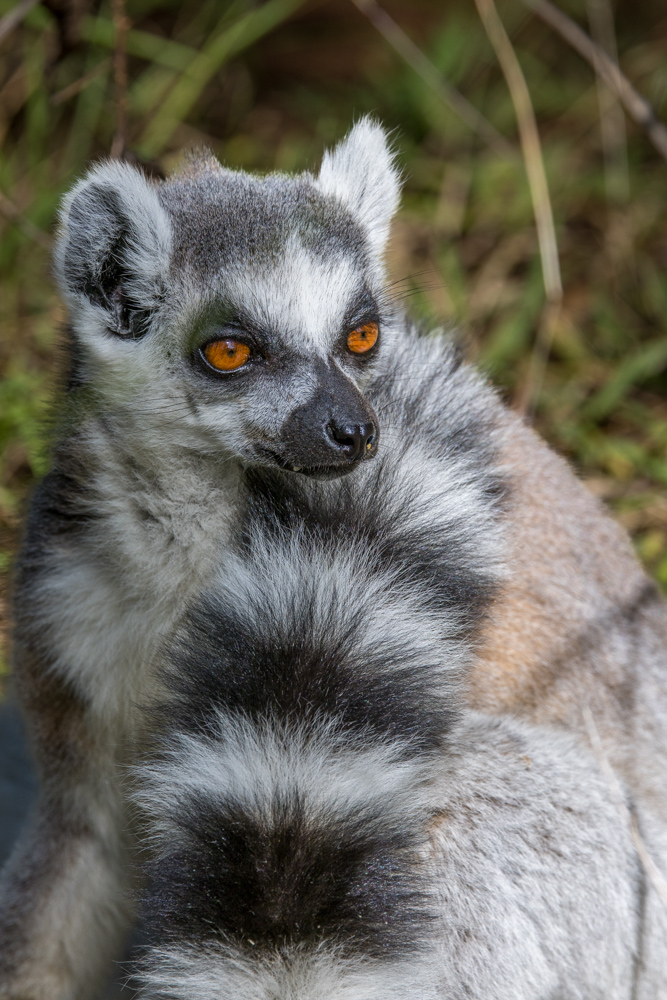 madagascar2022