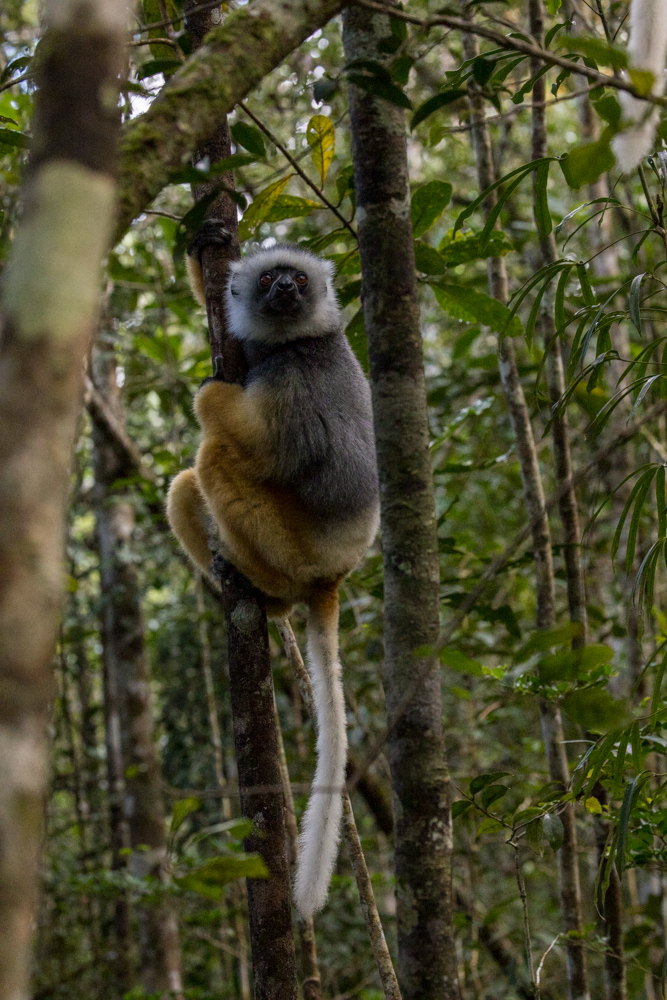 madagascar2022