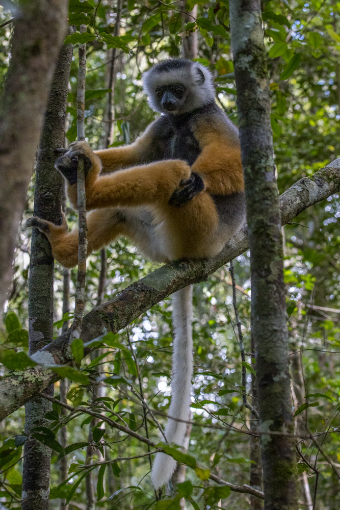 madagascar2022