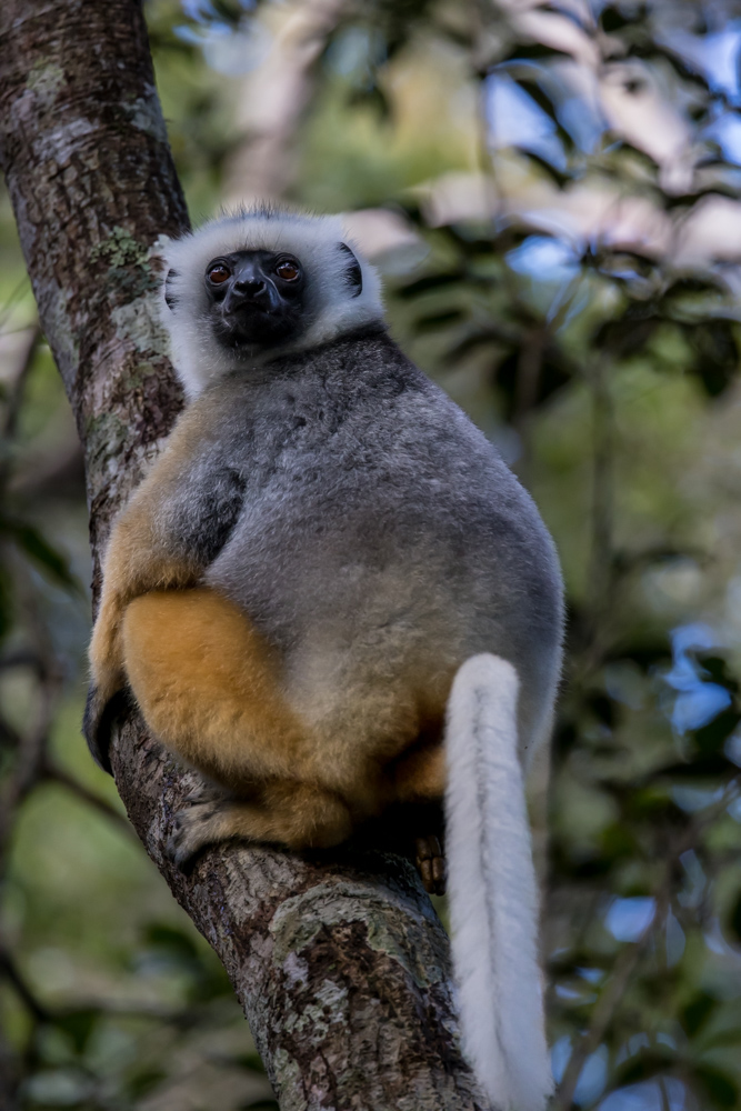 madagascar2022