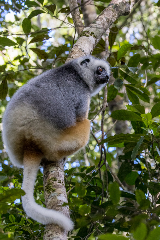 madagascar2022