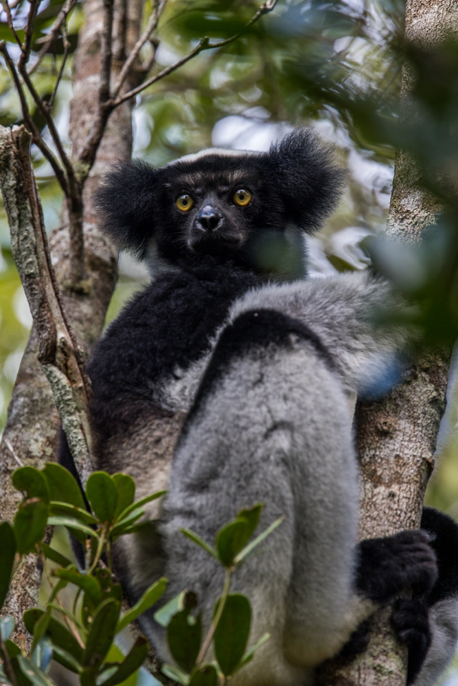 madagascar2022