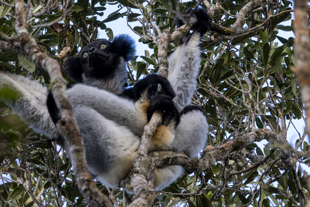 madagascar2022