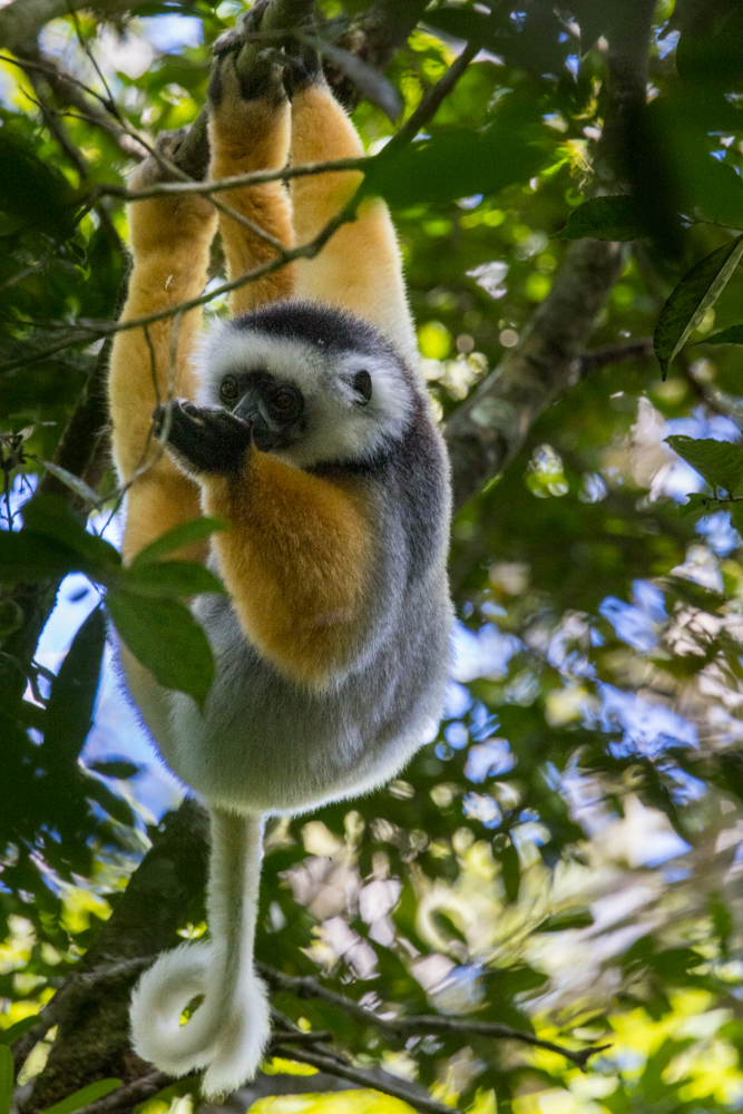 madagascar2022