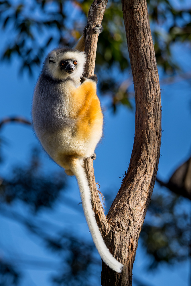 madagascar2022