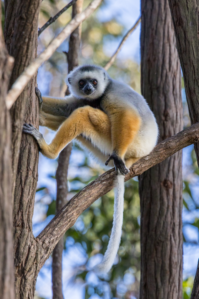 madagascar2022