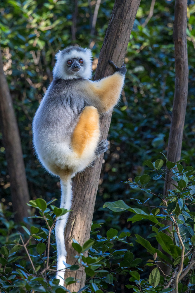 madagascar2022