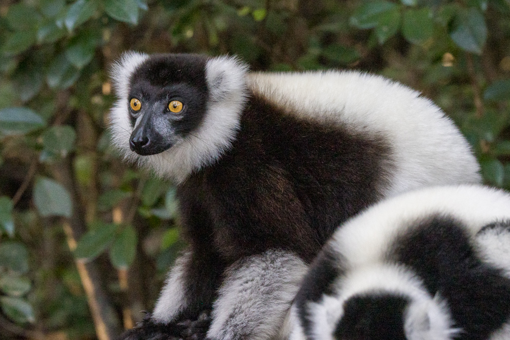 madagascar2022