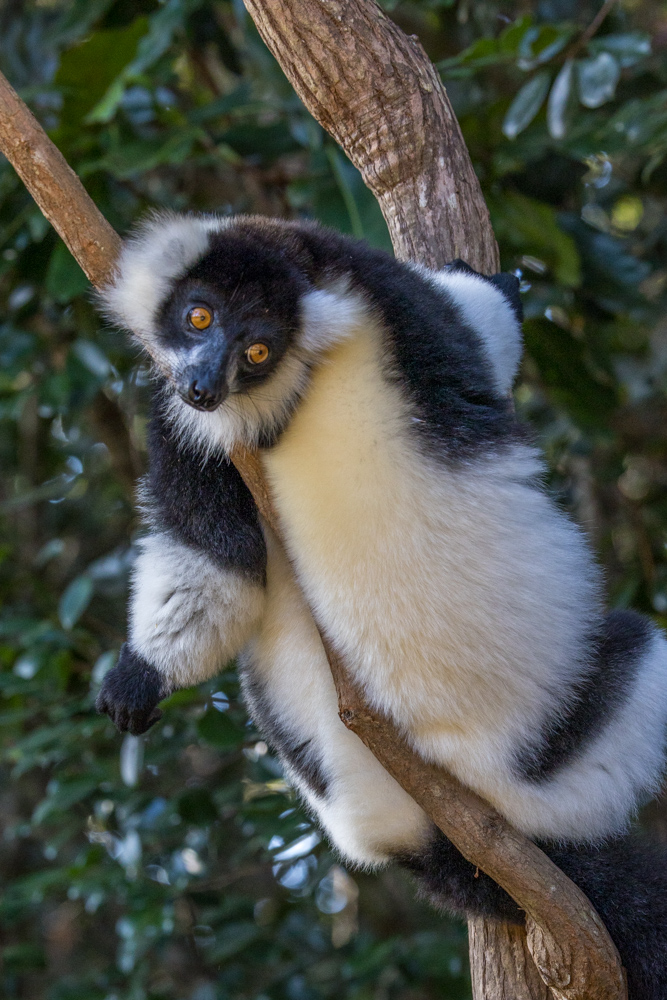 madagascar2022
