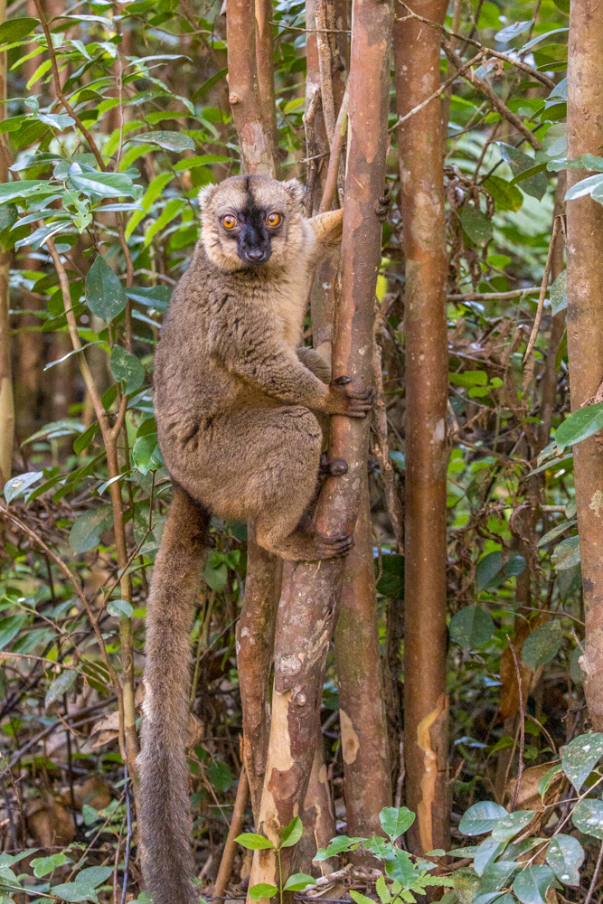 madagascar2022