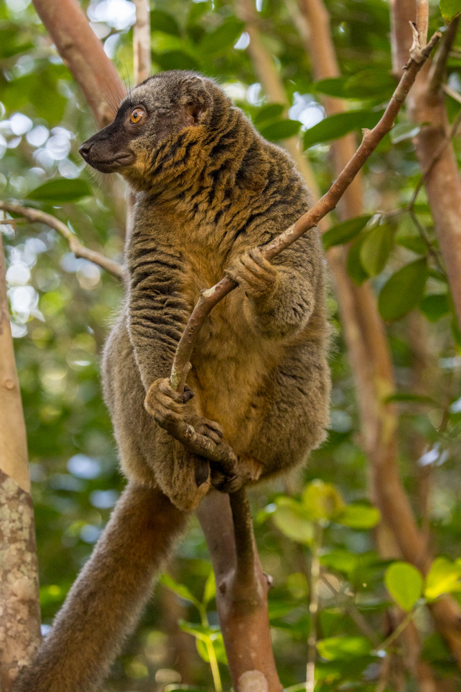 madagascar2022