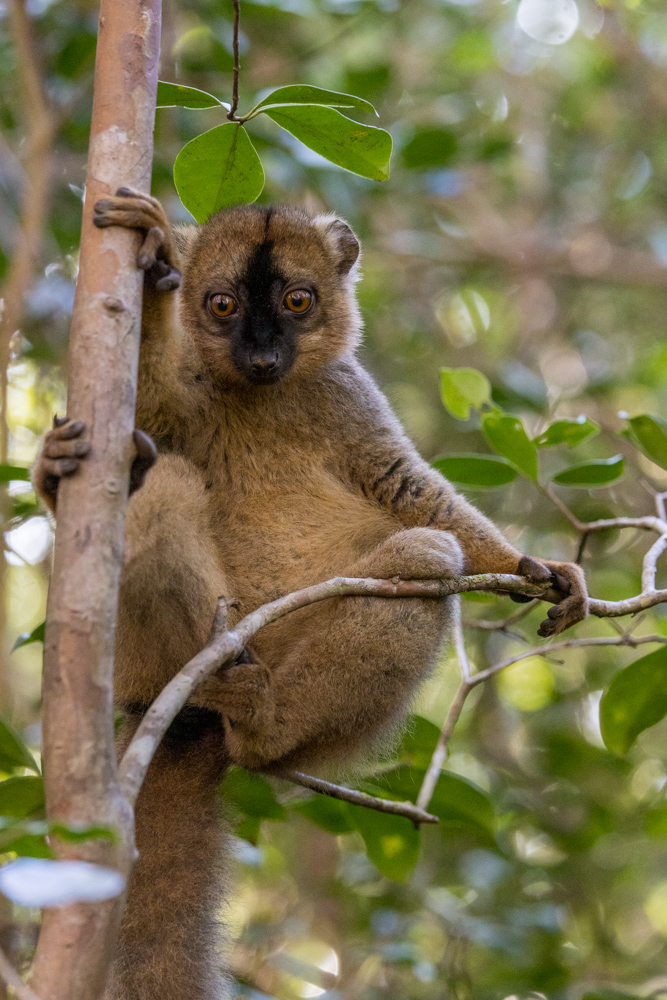 madagascar2022