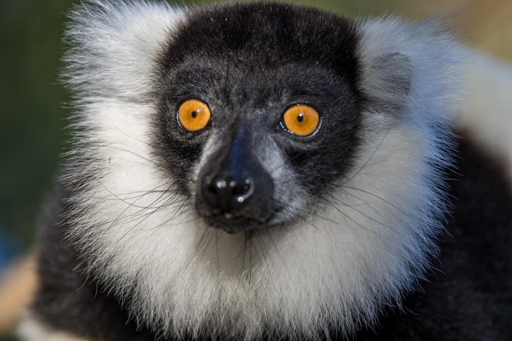 madagascar2022