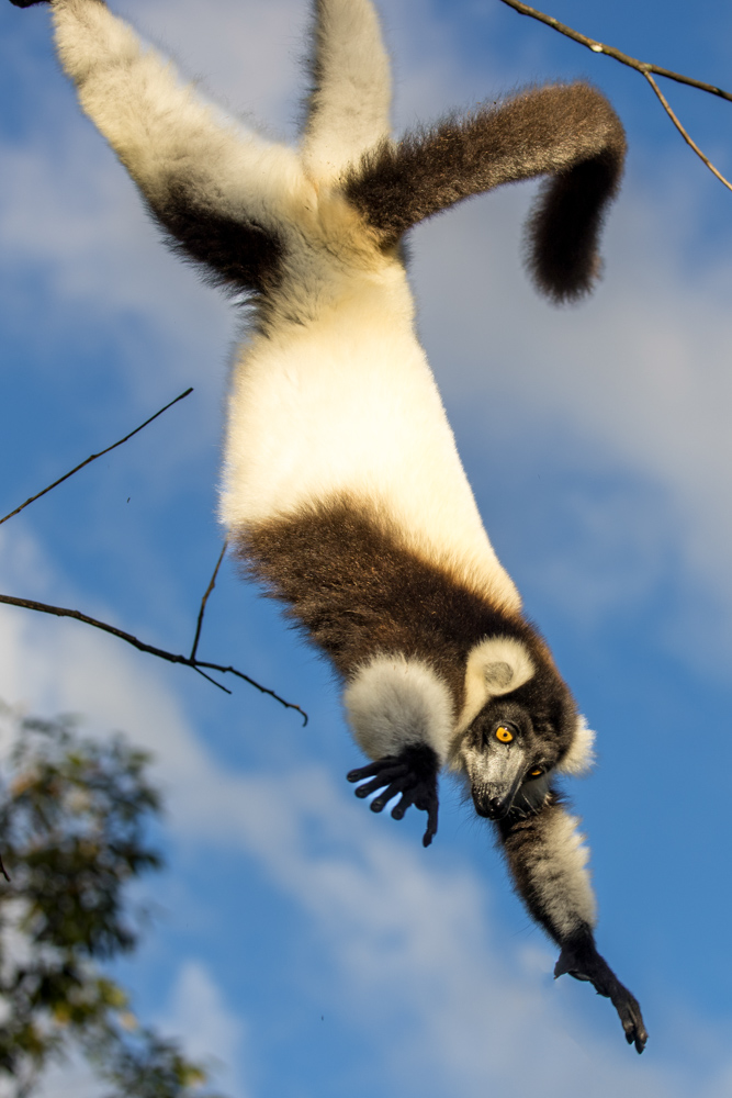 madagascar2022