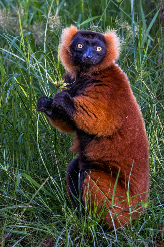 madagascar2022