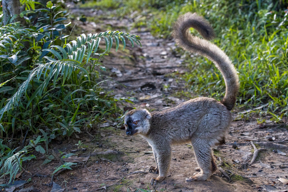 madagascar2022
