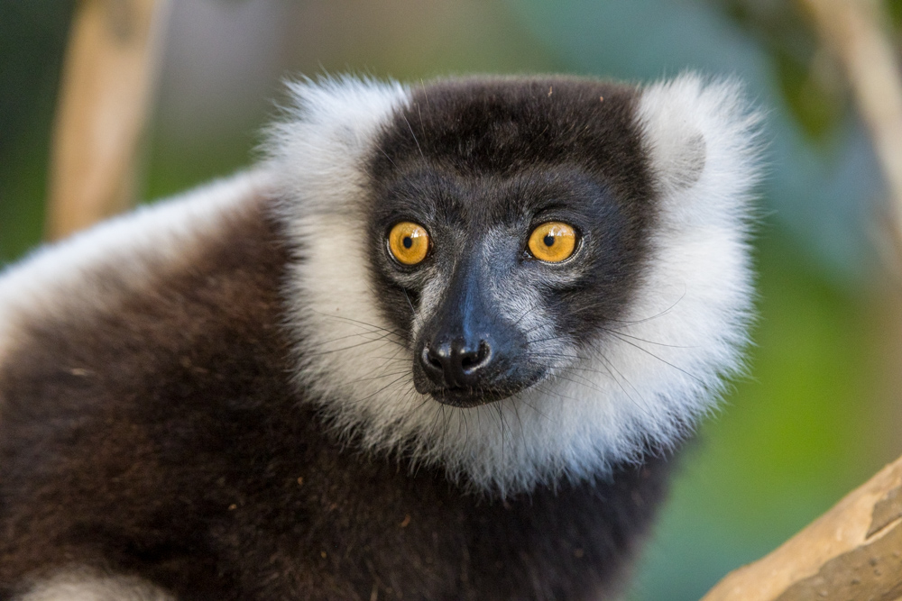 madagascar2022