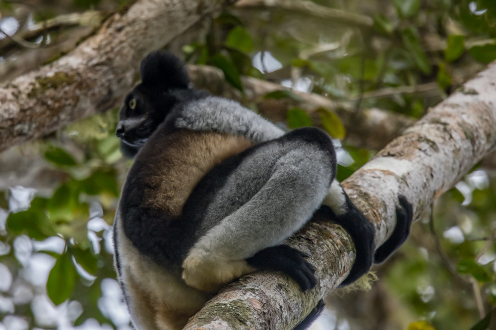 madagascar2022