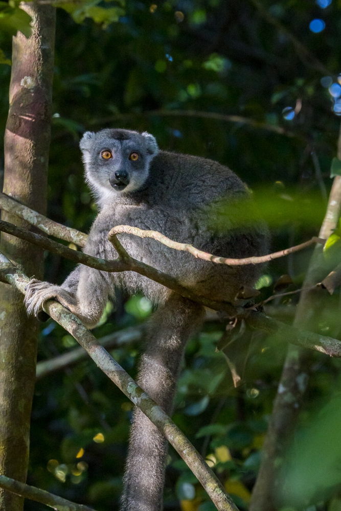 madagascar2022