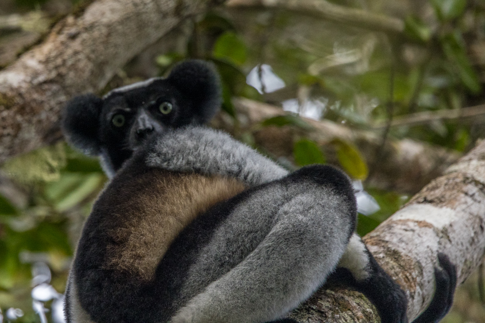 madagascar2022