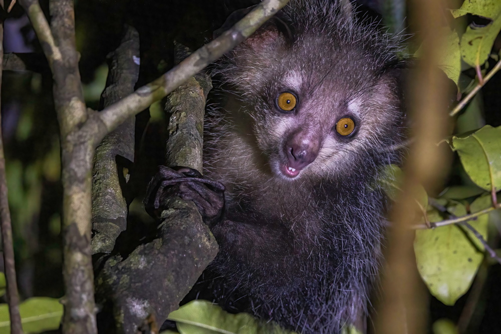 madagascar2022