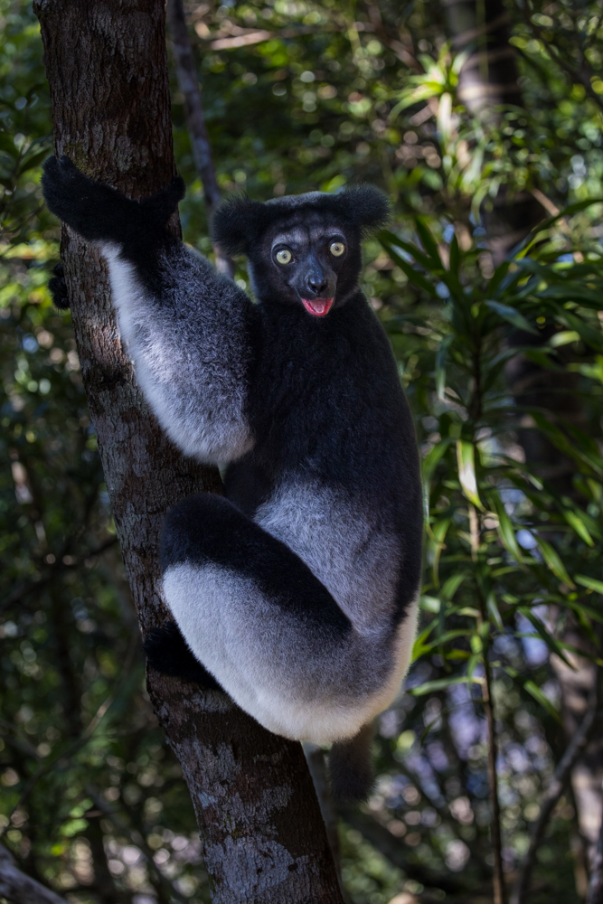 madagascar2022