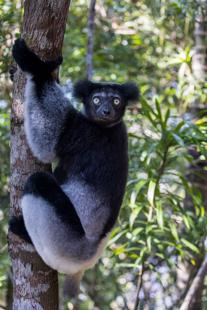 madagascar2022