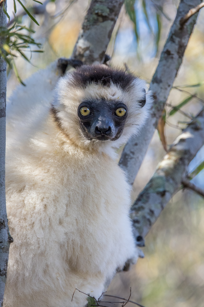 madagascar2022