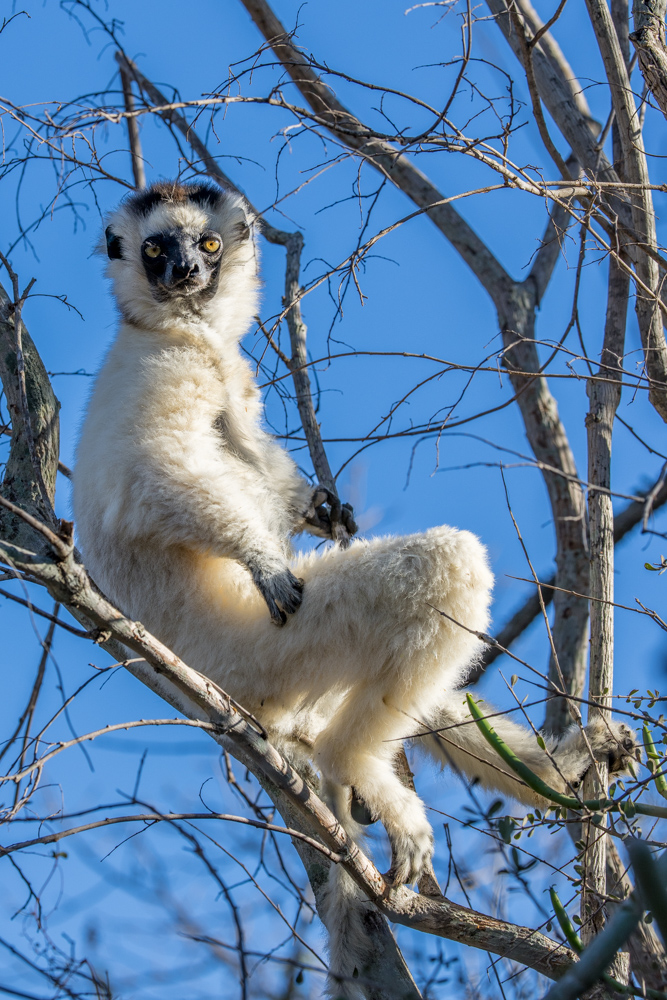 madagascar2022