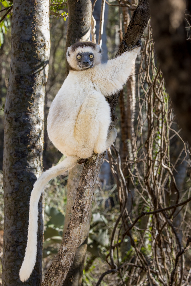madagascar2022