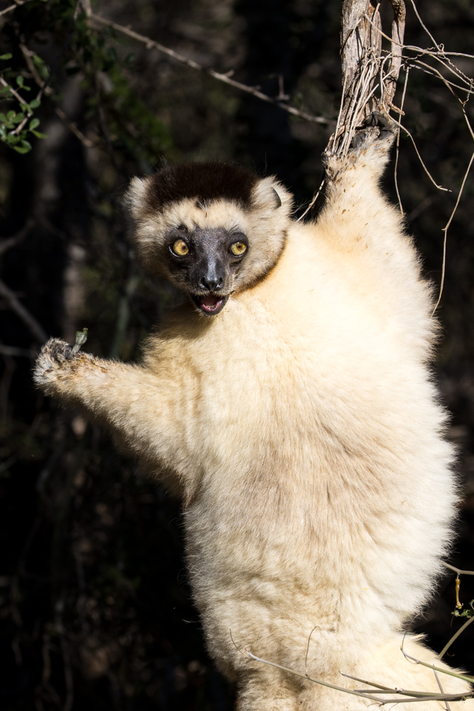 madagascar2022