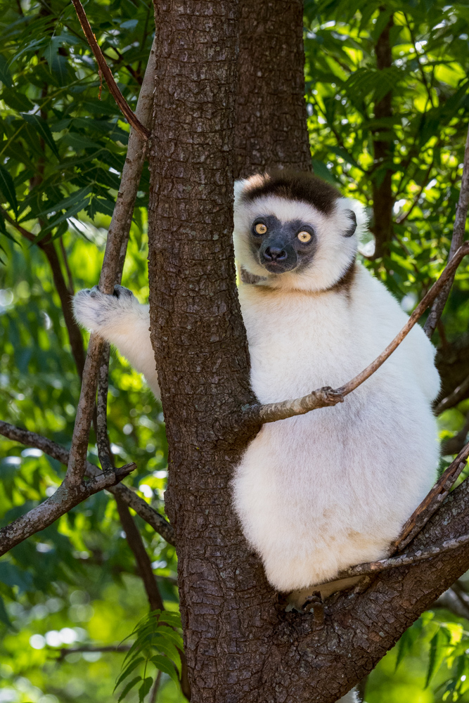 madagascar2022