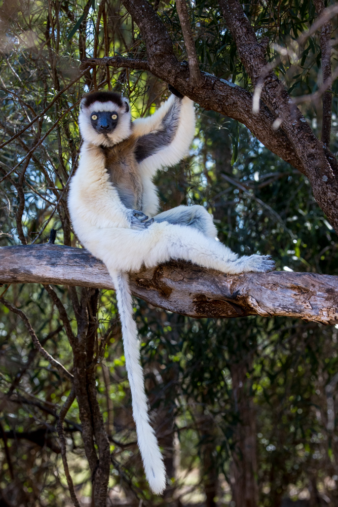 madagascar2022