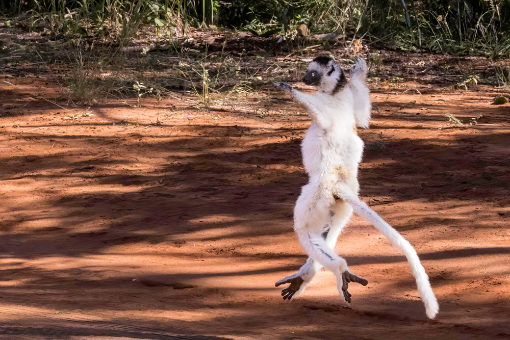 madagascar2022