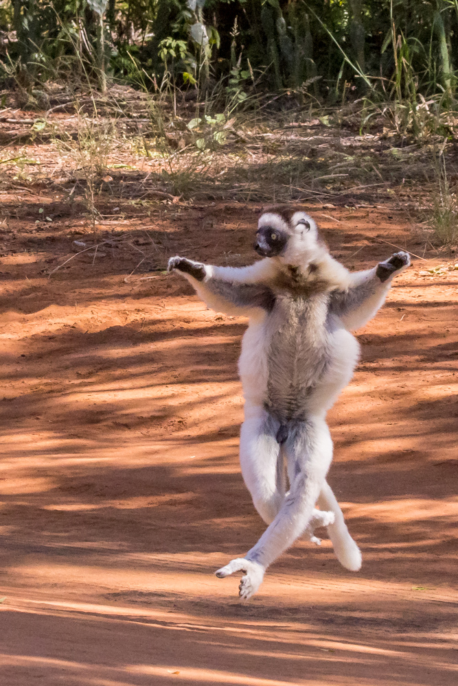 madagascar2022