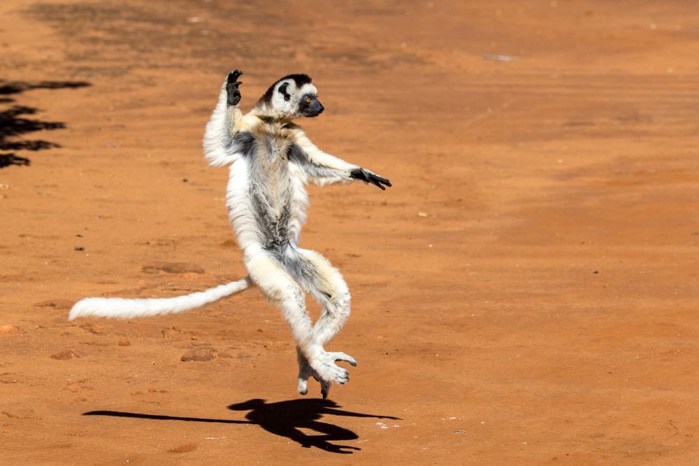 madagascar2022
