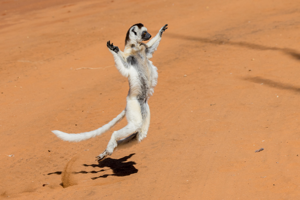 madagascar2022