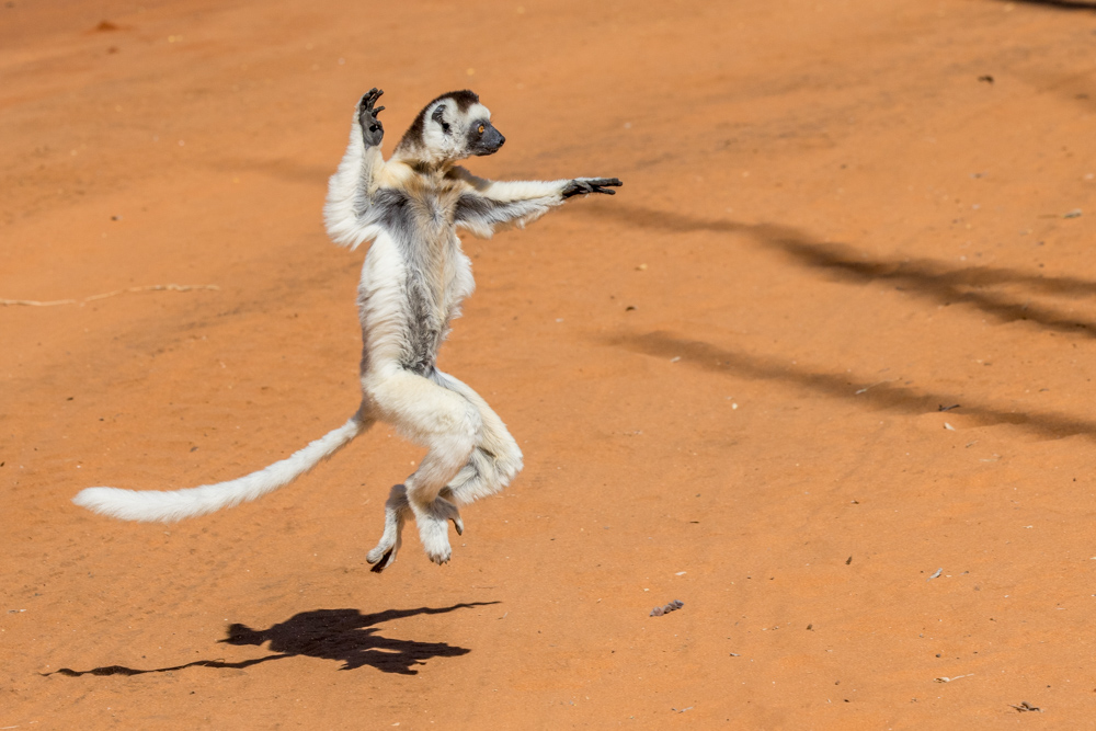 madagascar2022